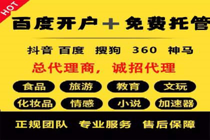 百度竞价广告运营全解析：成功案例揭秘